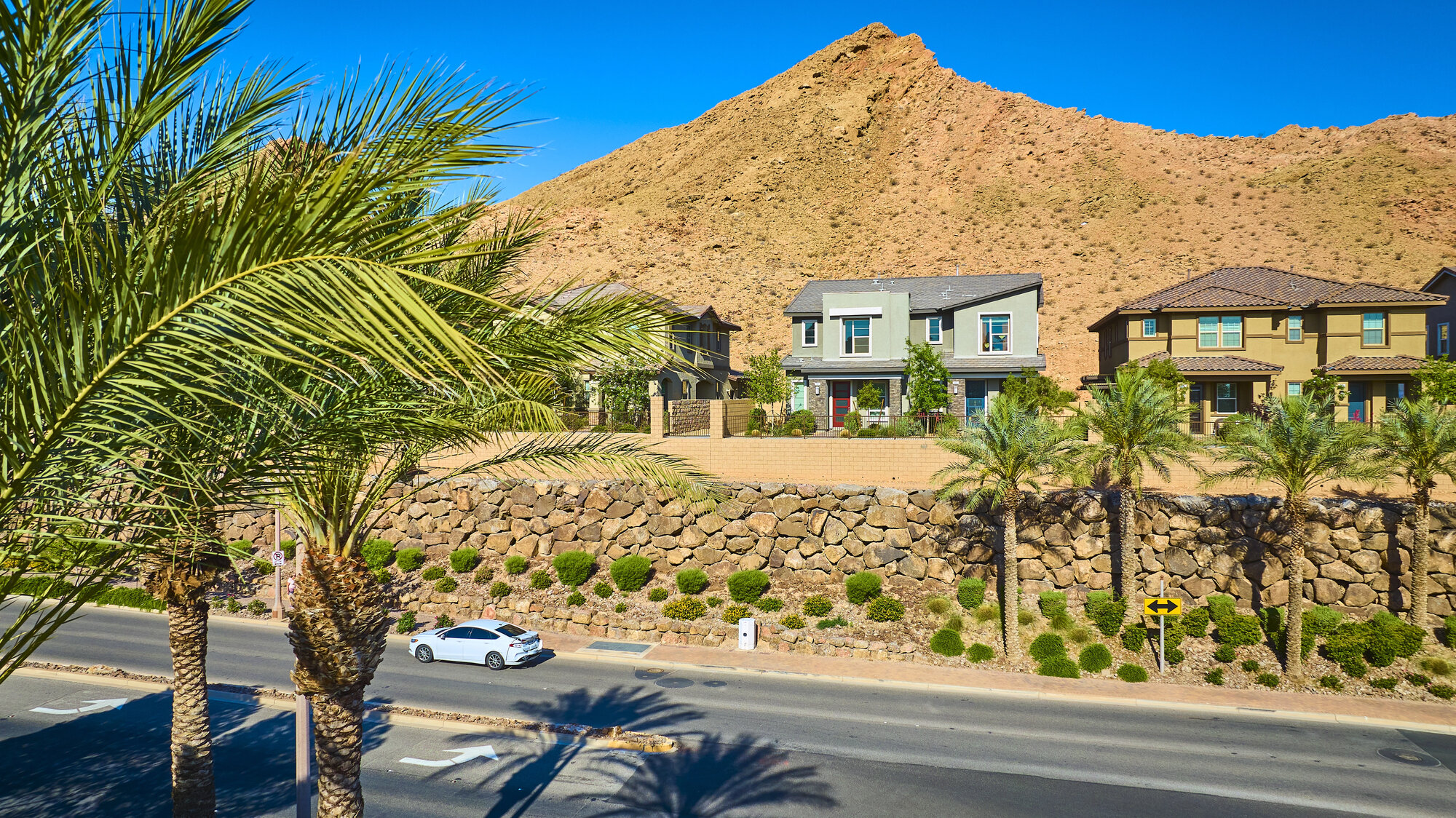 Homes with palm trees in Las Vegas, Nevada