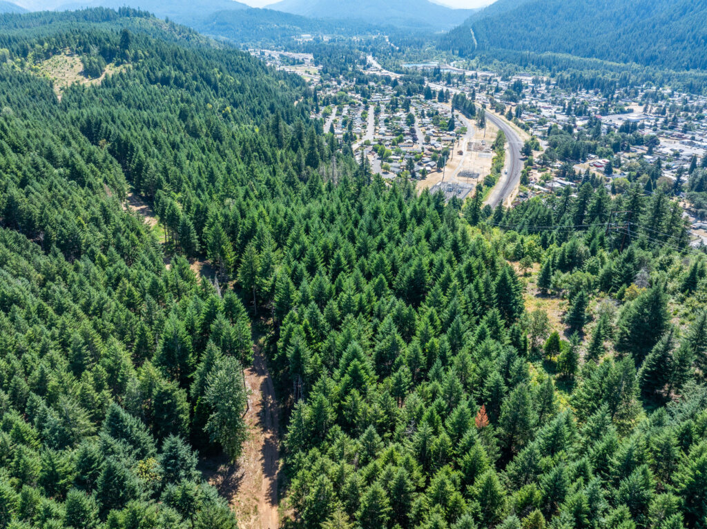 Timber Town Real Estate buys land like this one in Coos County, OR