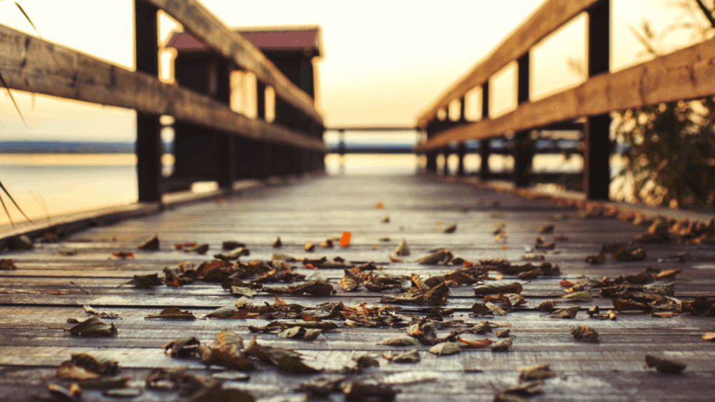 Smith Mountain Lake Boat Dock
