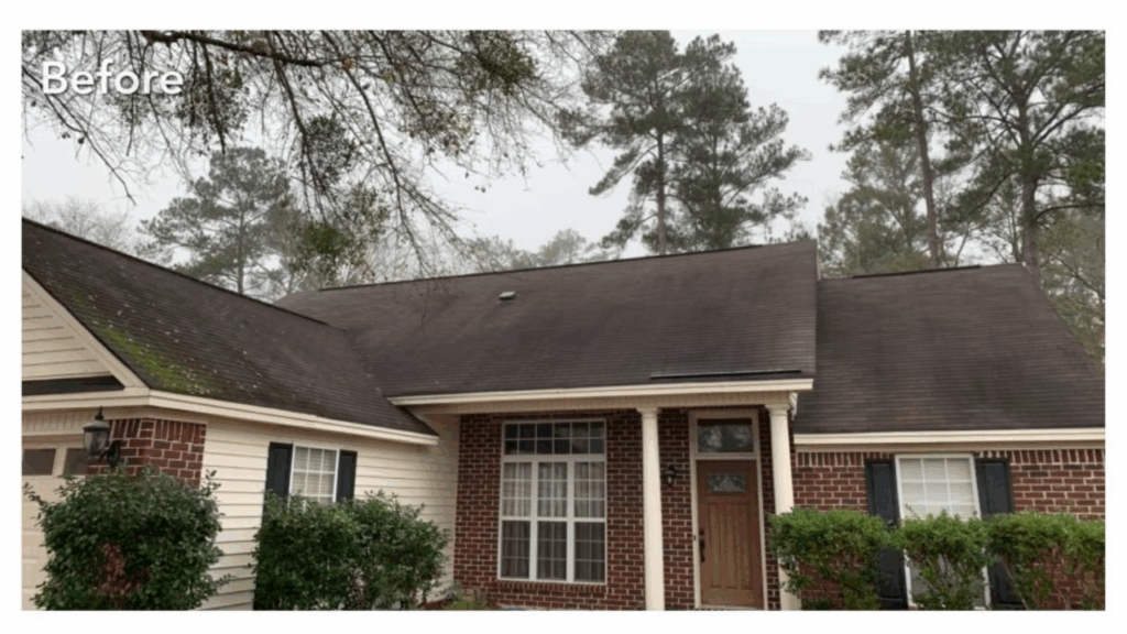 Picture before Roof soft washing in Roanoke VA — black streaks showing