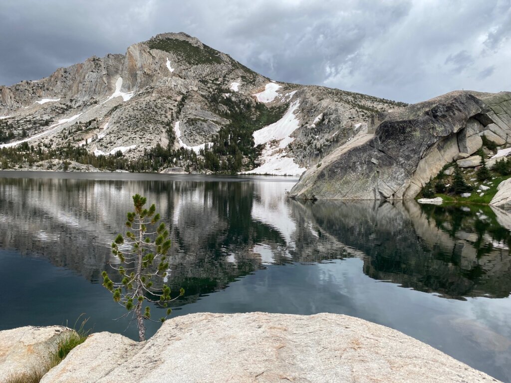 Why Choose Us To Sell Your Reno House Fast