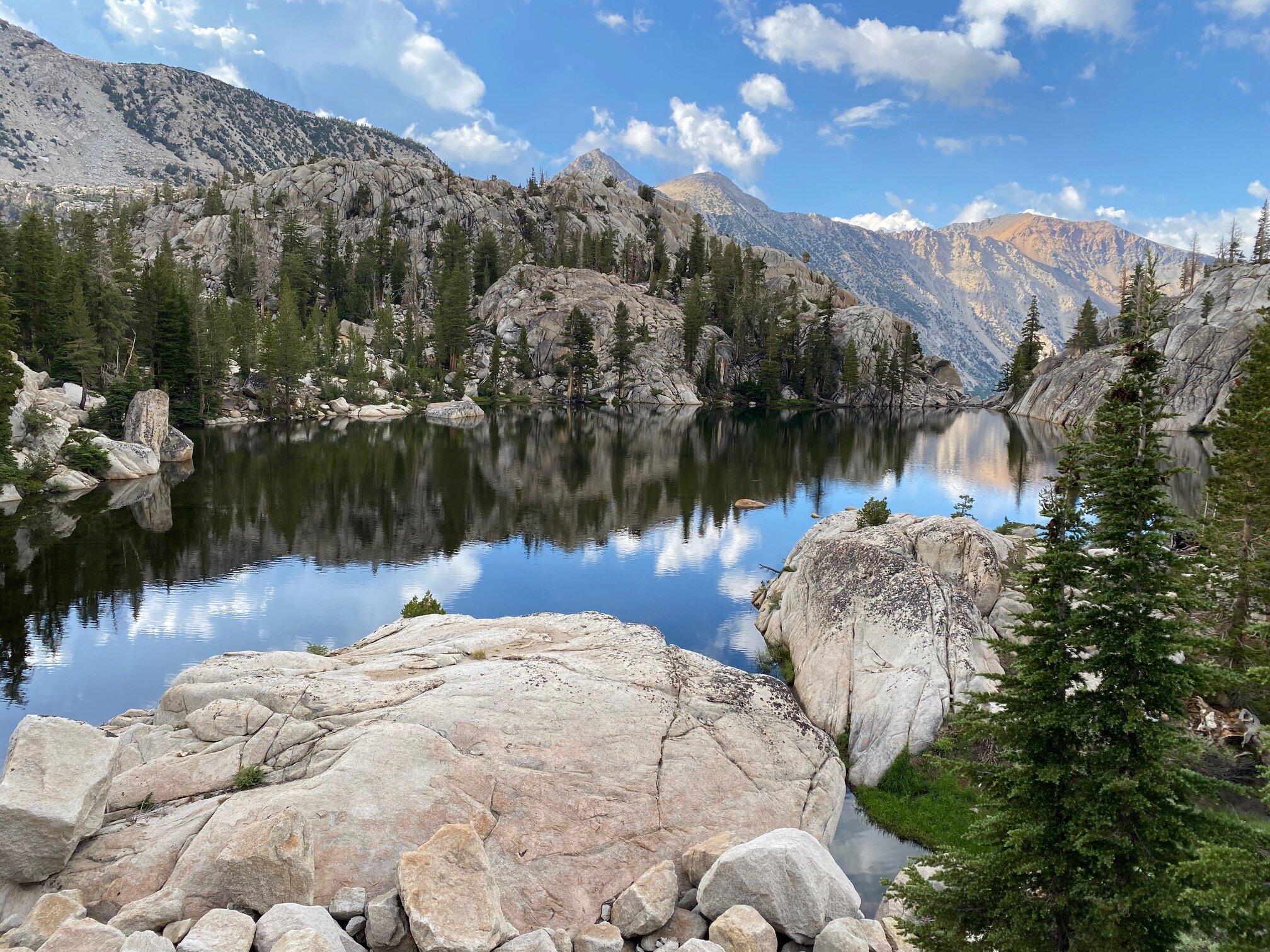 We buy houses for cash.