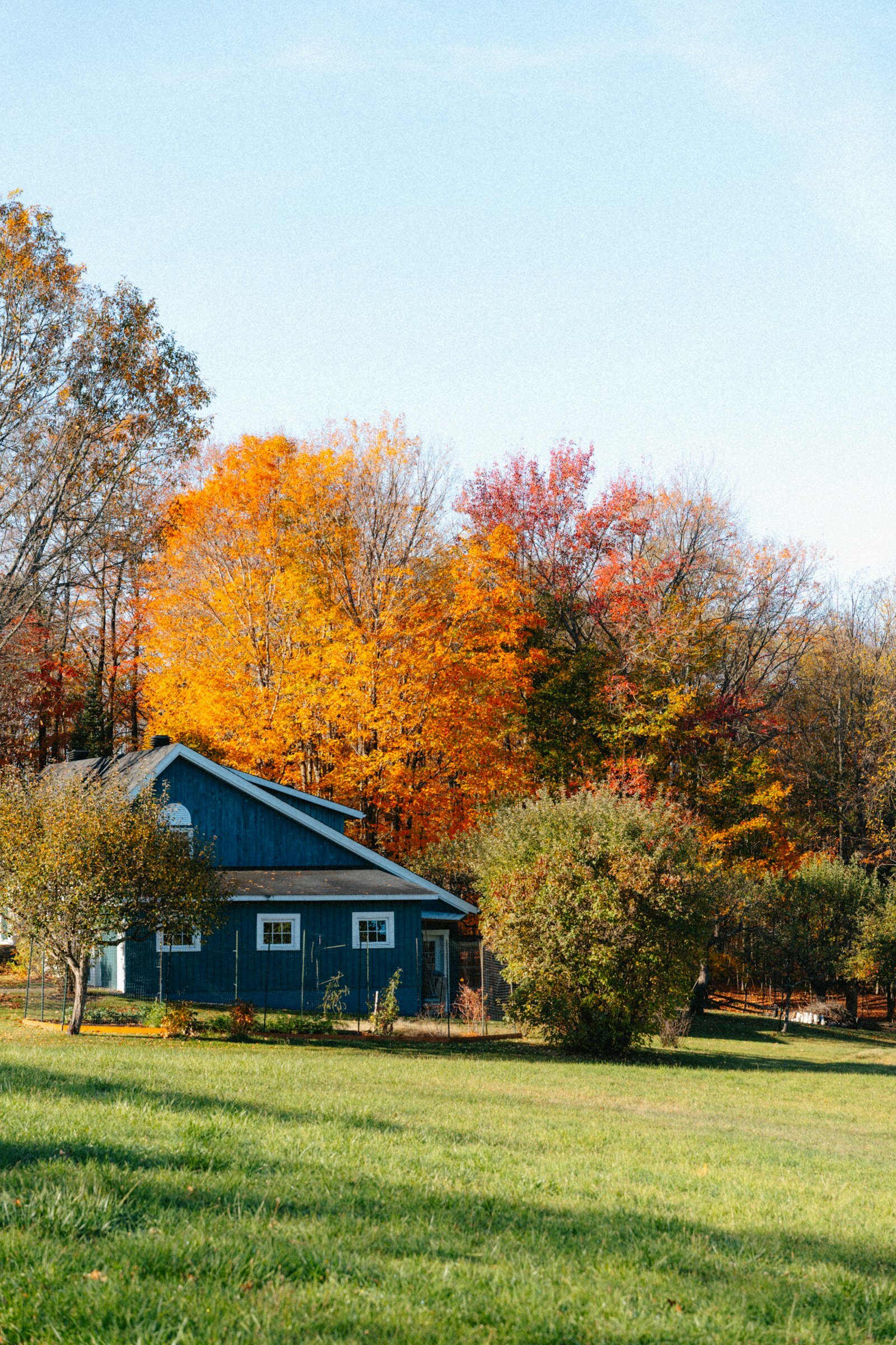 Blue Michigan home a cash buyer would make an offer on