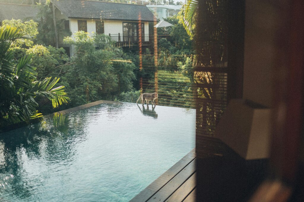 backyard pool home in Minnesota ready to sell as-is for cash