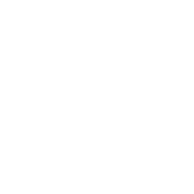 Five Stone White Logo