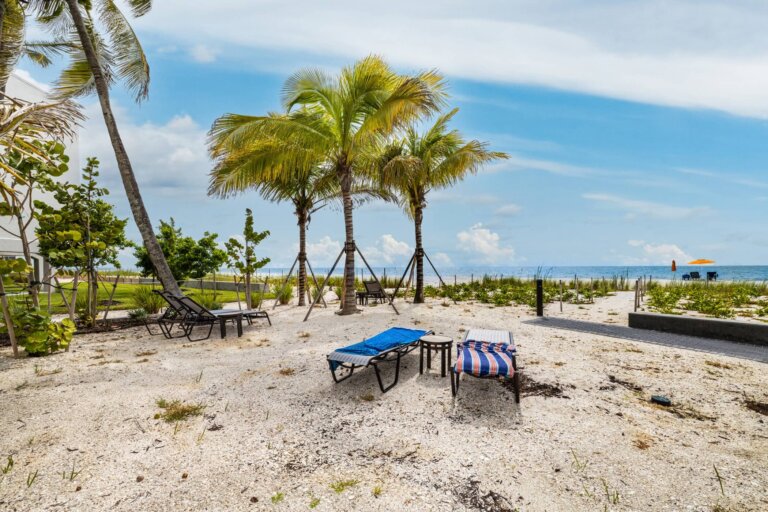 Beach loungers under palm trees on the sand