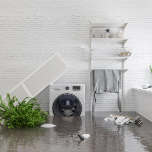 Steps to Selling a House With Water Damage Denver