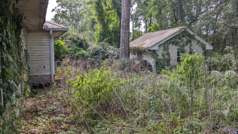 House we bought in Orange Park South