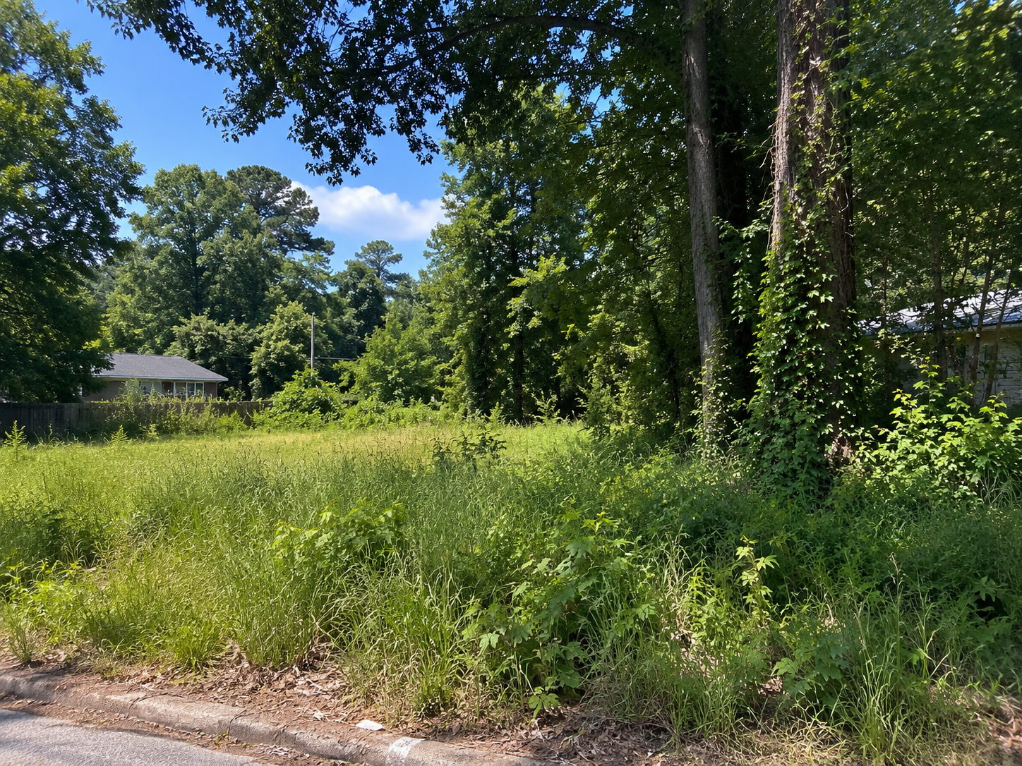 College Park Land