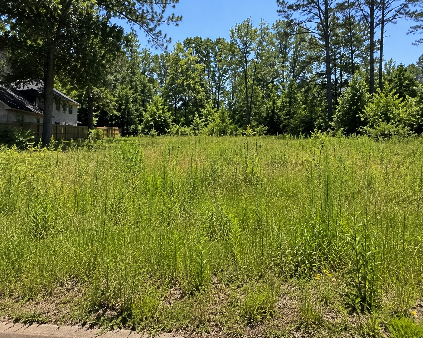 vacant land in Georgia