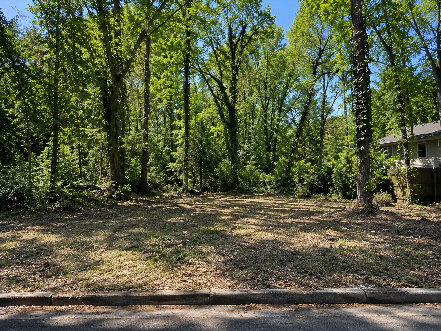Land in Decatur