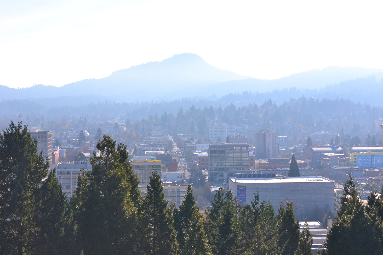 Eugene Oregon Cityscape