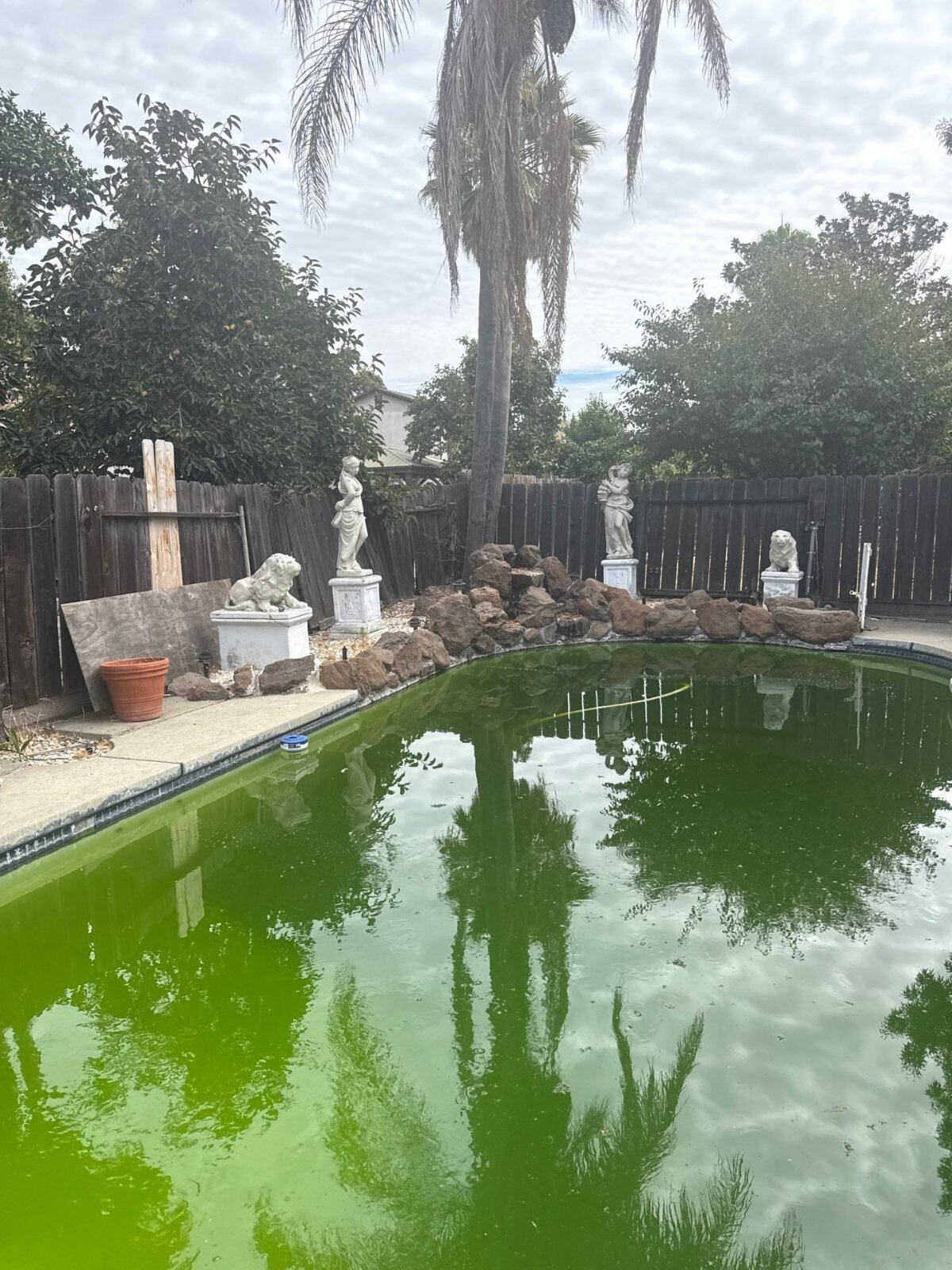 Green backyard pool at a Stockton house sold as-is