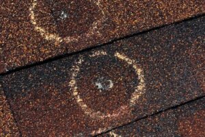 How to Tell If Your Roof Has Hail Damage: A Guide for Avon, CO Homeowners
