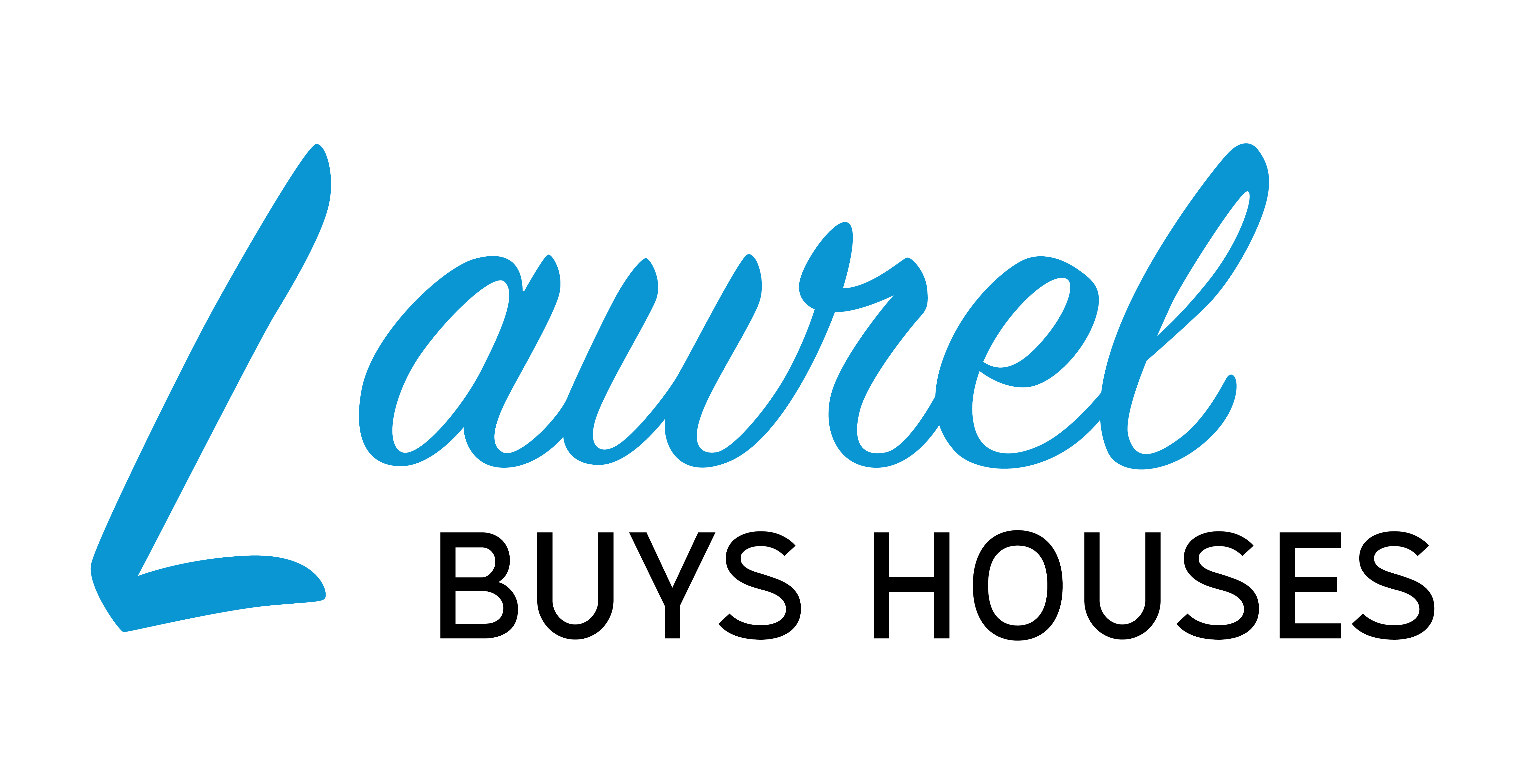 Laurel Buys Houses