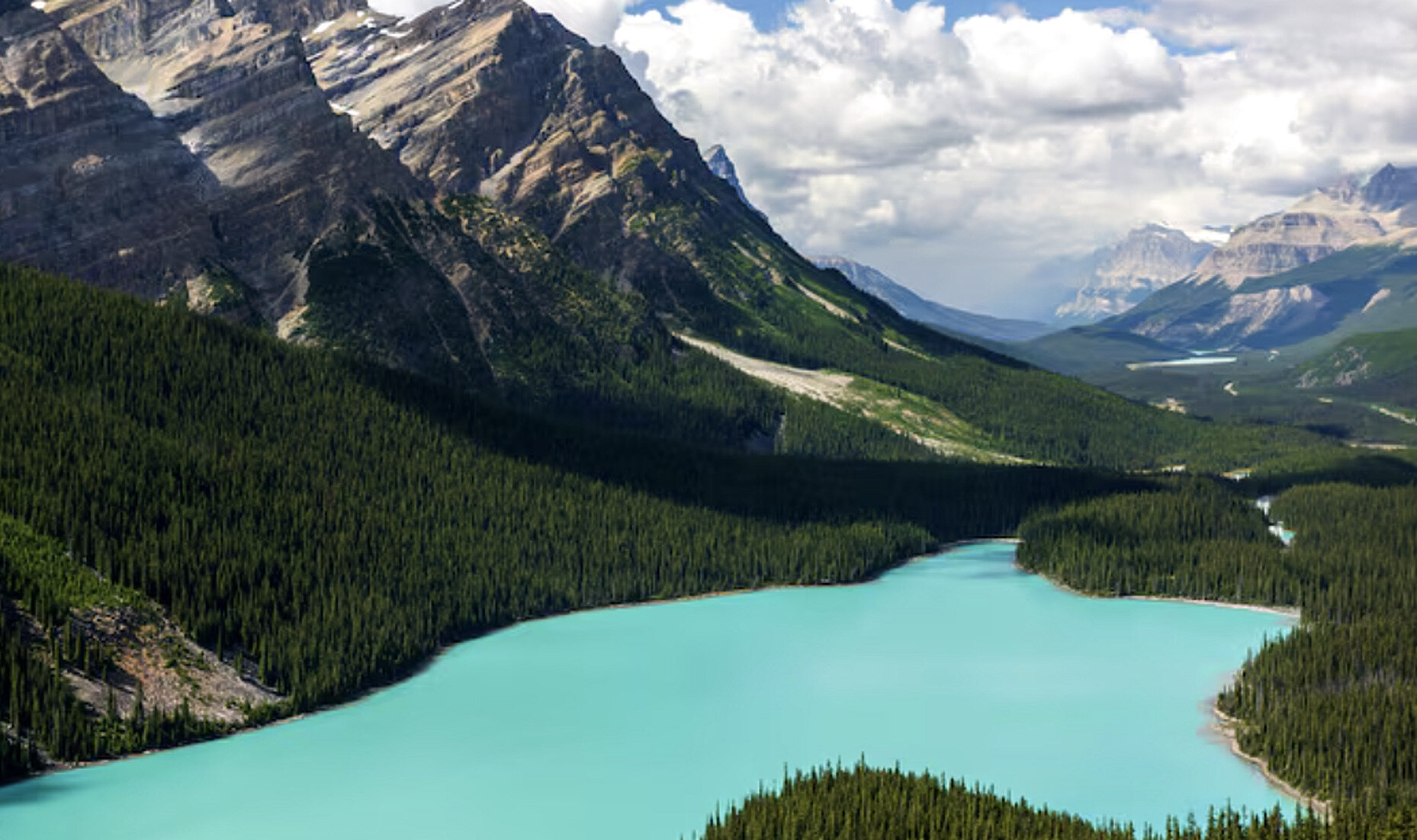 Rocky Mountain lake surrounded by forest in Alberta