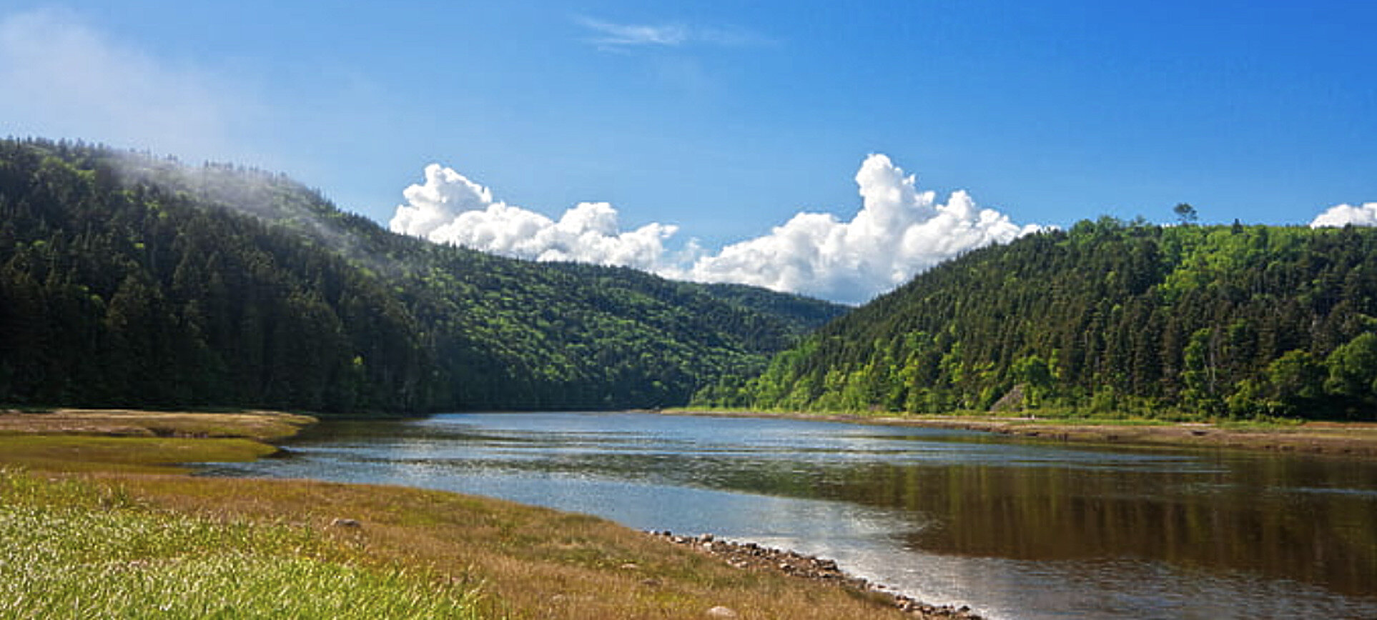River winding through forested hills in New Brunswick