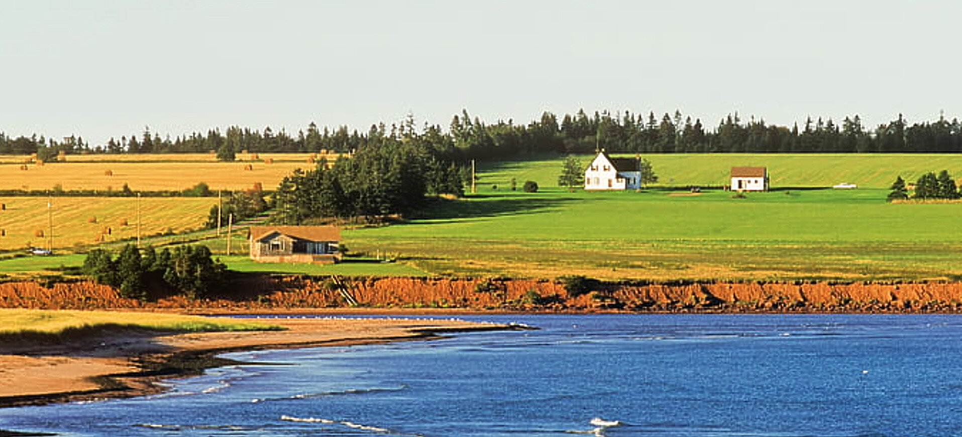 Red sand shoreline and green farm fields on Prince Edward Island