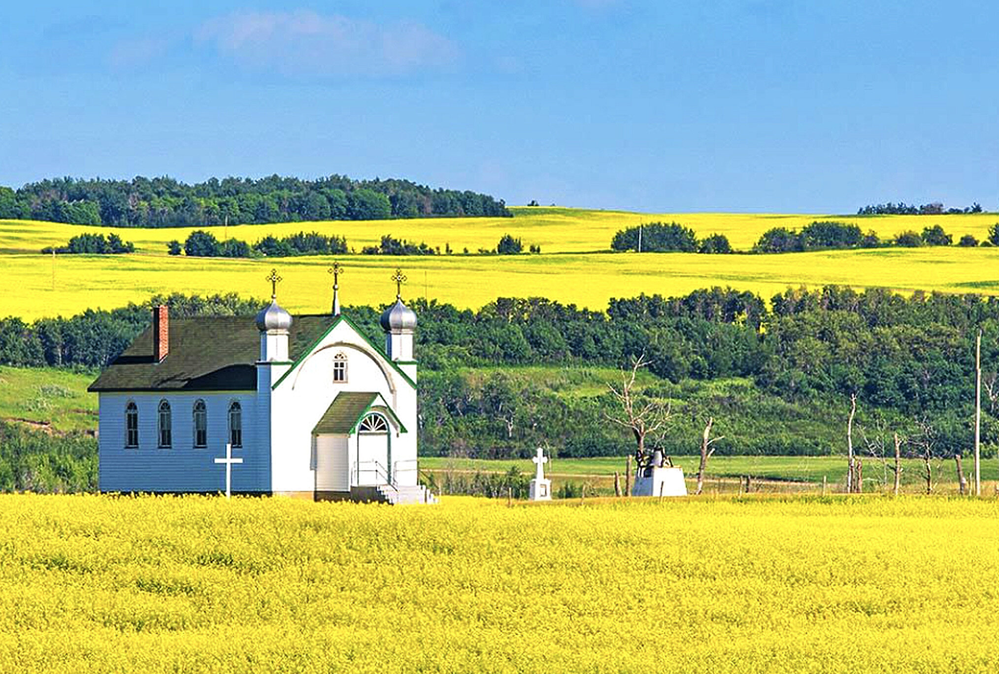 Canola field and prairie church in Western Manitoba