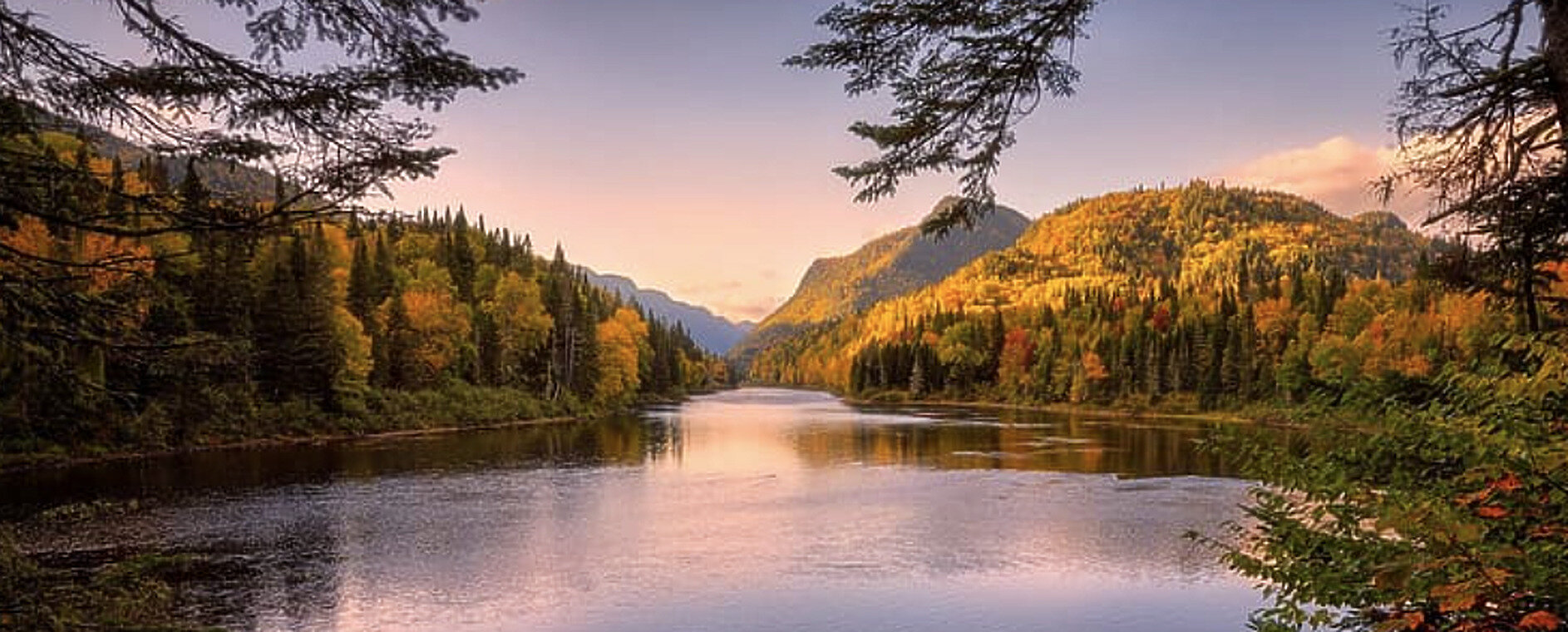 Autumn forest river valley in Quebec