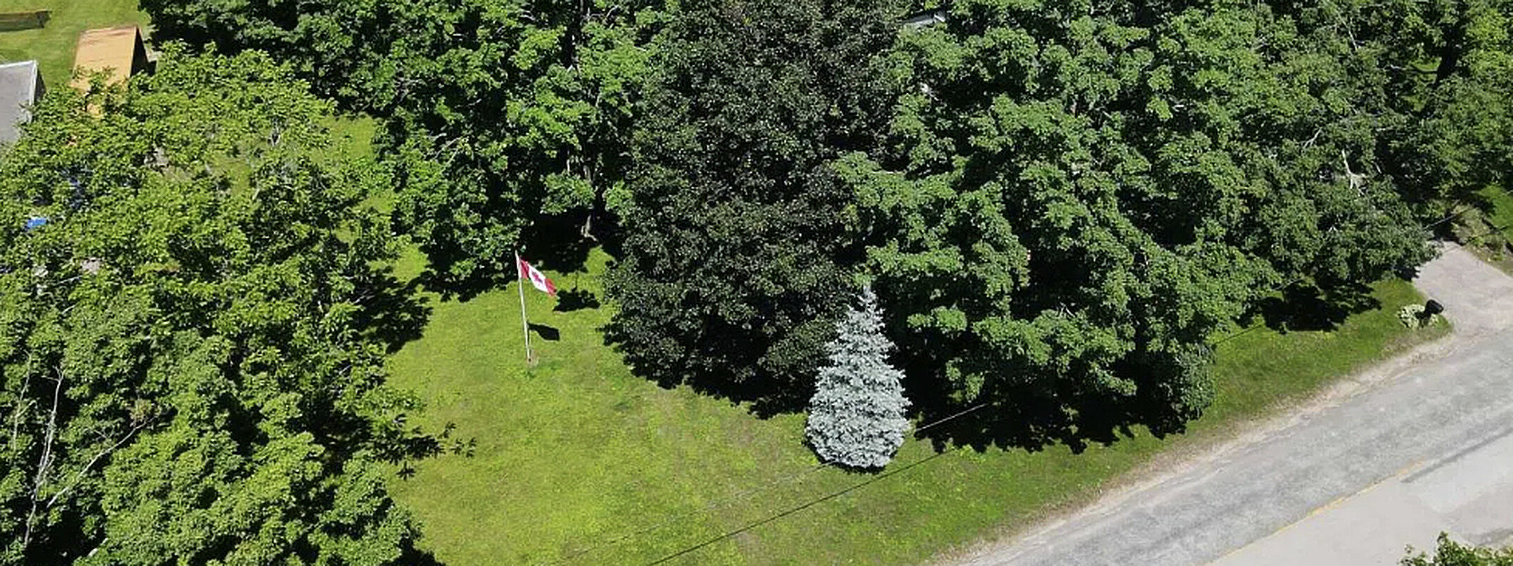 Treed lot with a Canadian flag on rural Canadian land