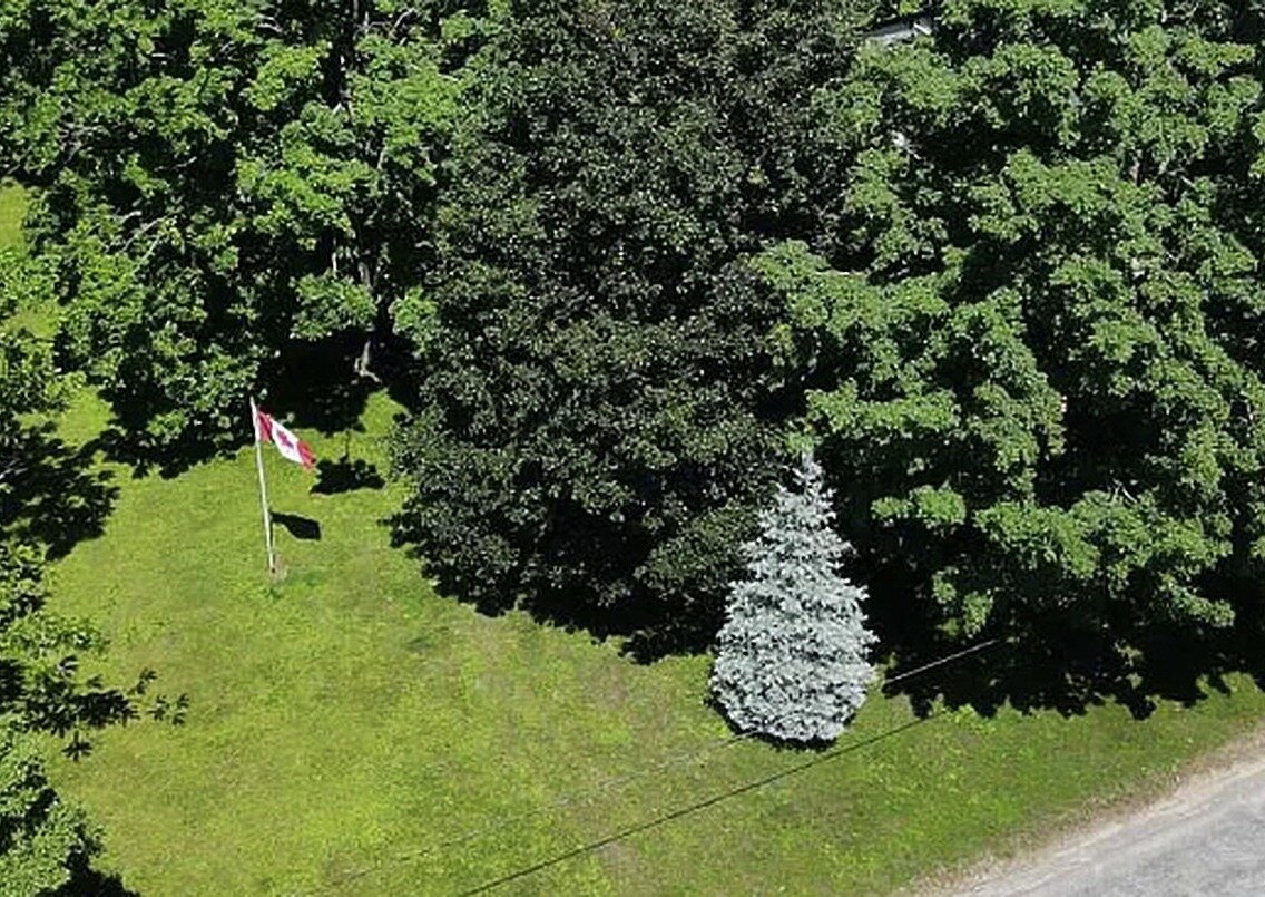Treed lot with a Canadian flag on rural land