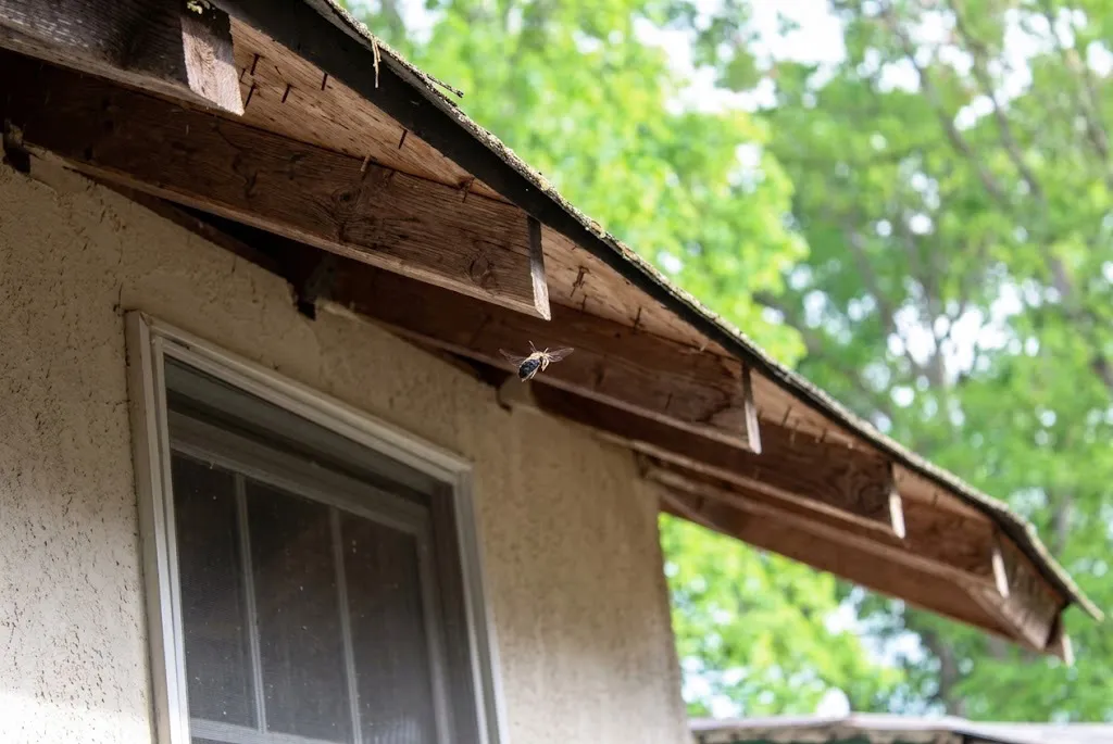 Chester, Virginia home that needs repairs - DSKM Enterprises