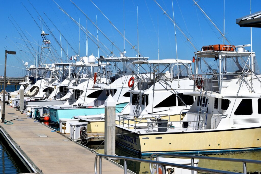 Deep Sea Fishing