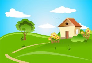 Real Estate Investor in TX