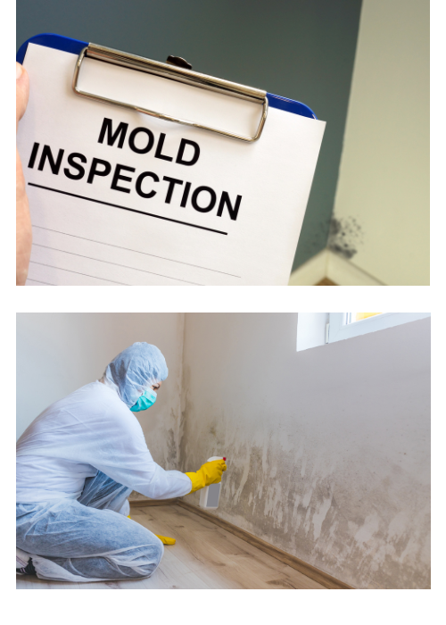 House Sale with Mold in OH