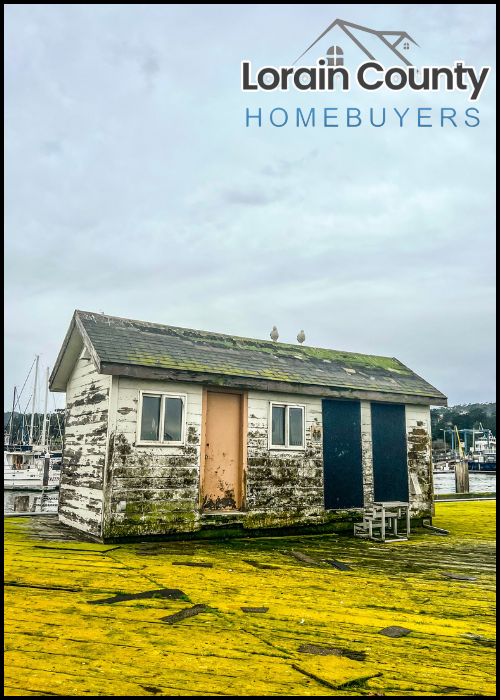 Ohio House Sale with Mold