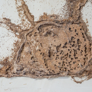 Tips for Selling a House With Termite Damage Ohio