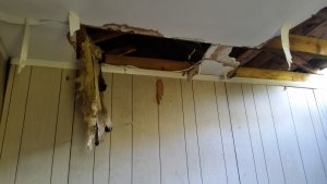 Sell your house in as is condition in Greenville SC