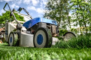 Landscaping your house too sell fast in Greenville Sc