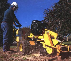 stump grinder for rent klamath falls medford