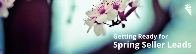 online motivated seller leads in the spring
